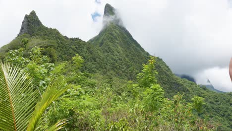 young caucasian woman with sunglasses walking through nature on a sunny day in a tropical island with mountains in background in mouaputa, moorea, french polynesia.