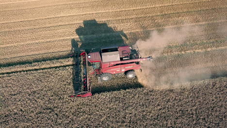 Roter-Mähdrescher,-Der-Gelbes-Weizenfeld-Erntet-4k