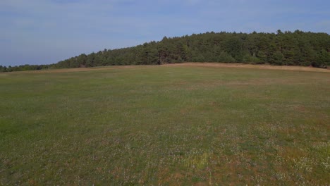 Erstaunliche-Luftaufnahme-Von-Oben,-Flug-über-Hügelige-Heidewälder,-Sommerfelder,-Brandenburg,-Deutschland-23