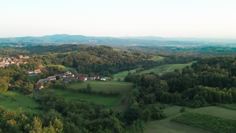 Viñedos-Entre-Las-Colinas-De-Pequeños-Pueblos-De-Eslovenia,-Metlika,-Radovica.