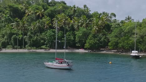 aerial view of sailing boat arriving private island with palm trees on dominican republic