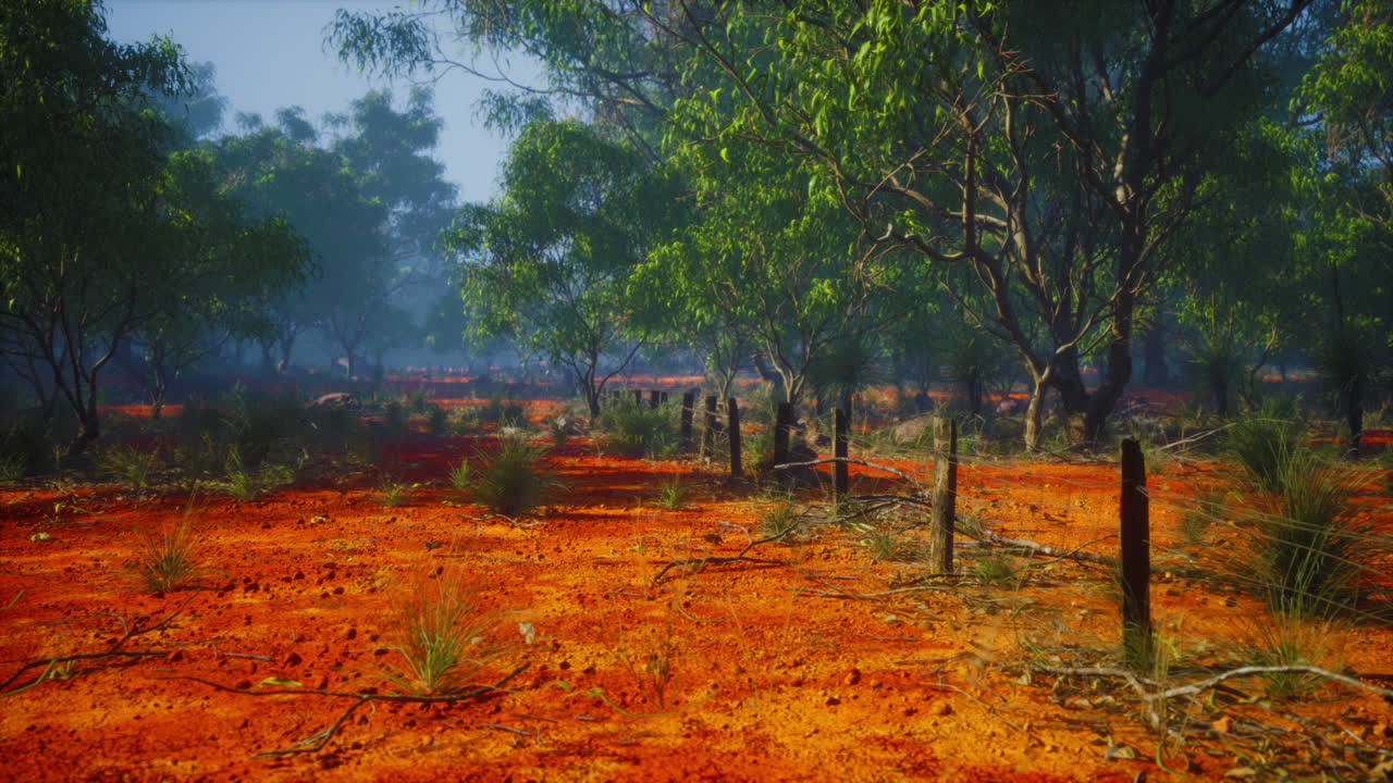 Detail of old rural fencing with shallow focus