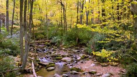 aerial pullout in autumn with fall foilage along goshen creek near boone and blowing rock nc, north carolina