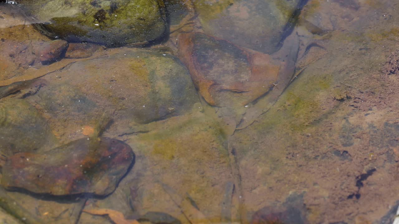 ligeras variaciones en una corriente de agua que fluye