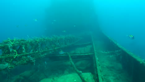 grúa a bordo del naufragio shakem
