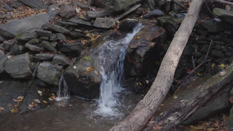 Wasser-Fließt-Durch-Felsen-Und-Blätter-Im-Herbst-In-Wissahickon