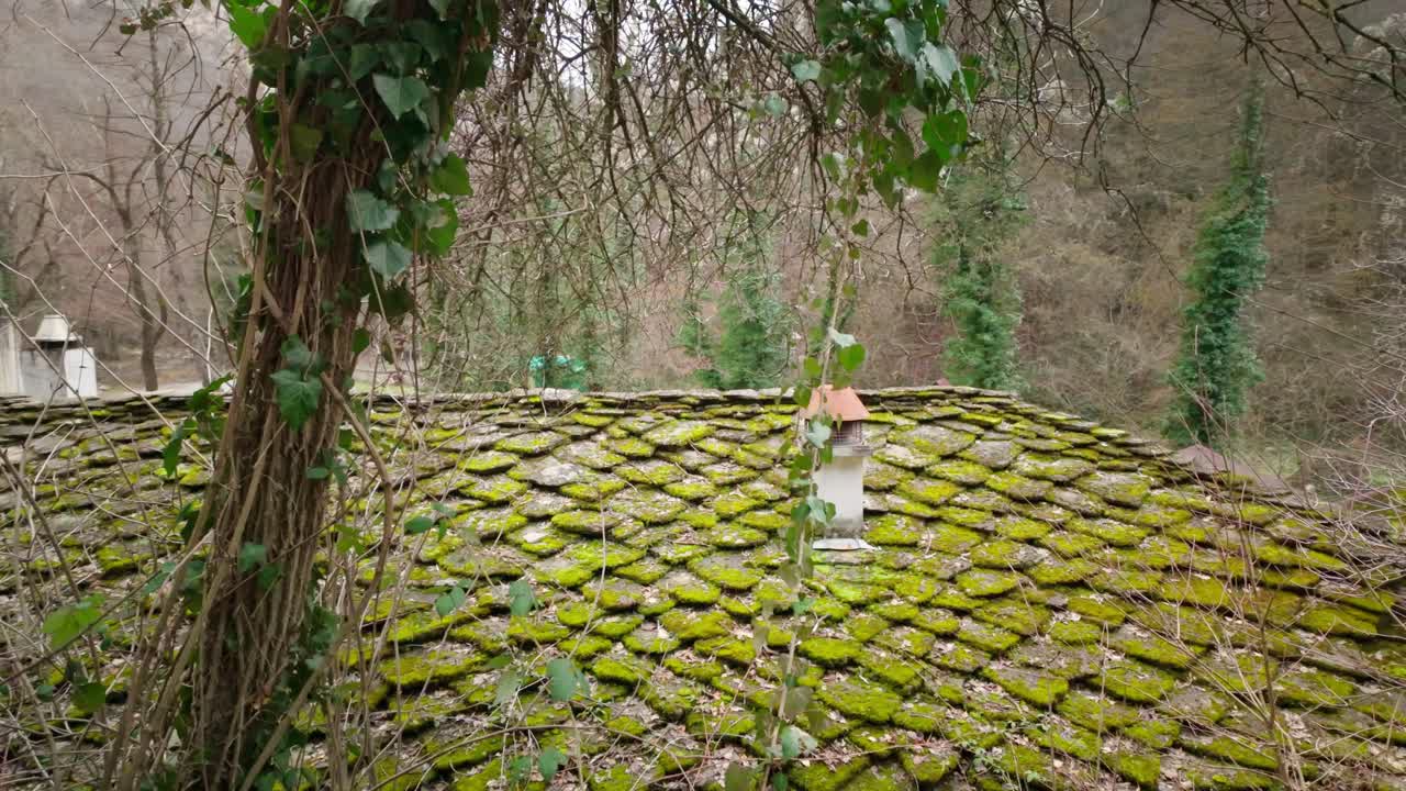 버려진 숲 주택 에 있는 초록색 모스 로 인 시골적 인 돌 지붕