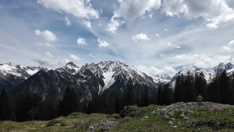 El-Pájaro-Se-Sienta-En-El-Campo-Y-Se-Limpia-Con-Montañas-Cubiertas-De-Nieve-En-El-Fondo