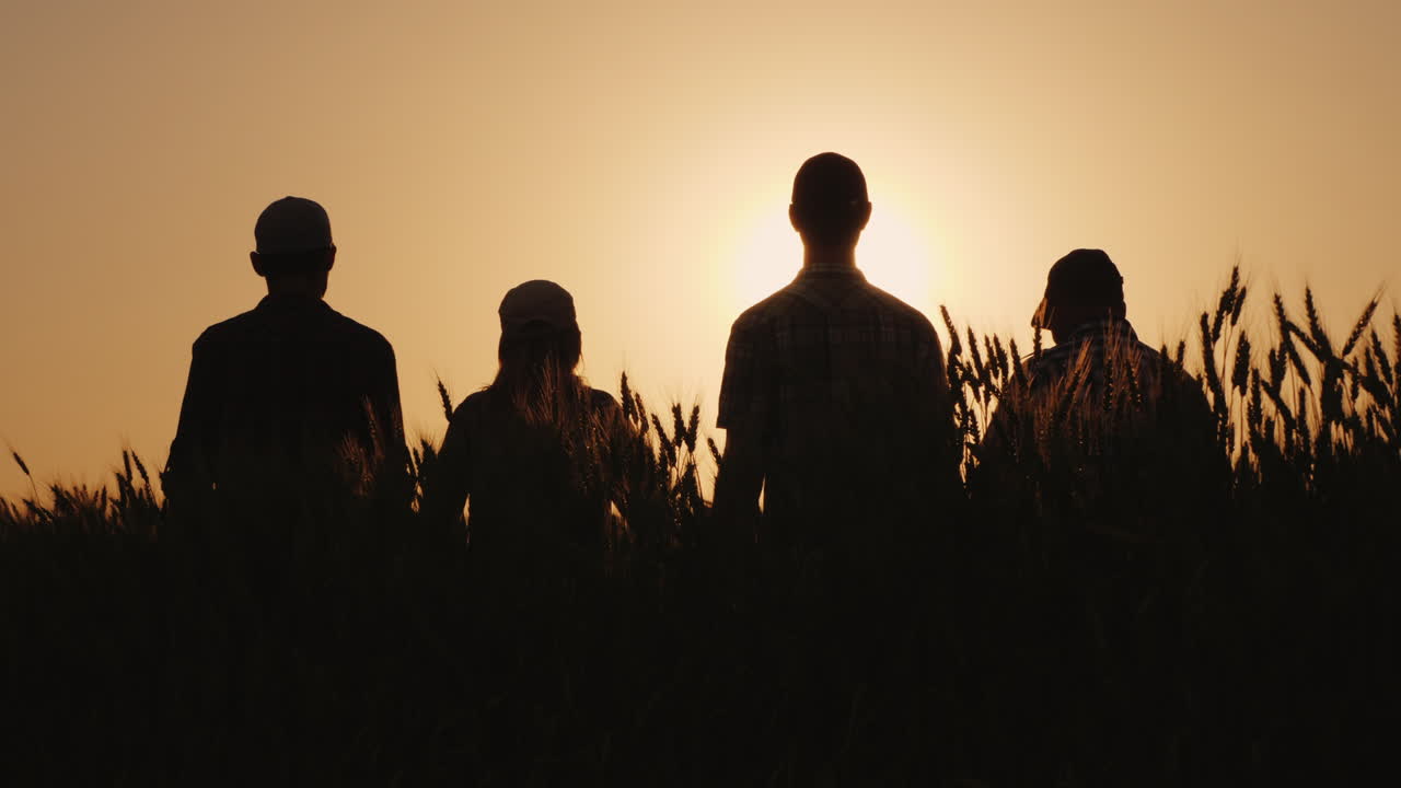 한 무리의 성공한 젊은이들이 함께 손을 잡고 그들은 성공적인 팀을