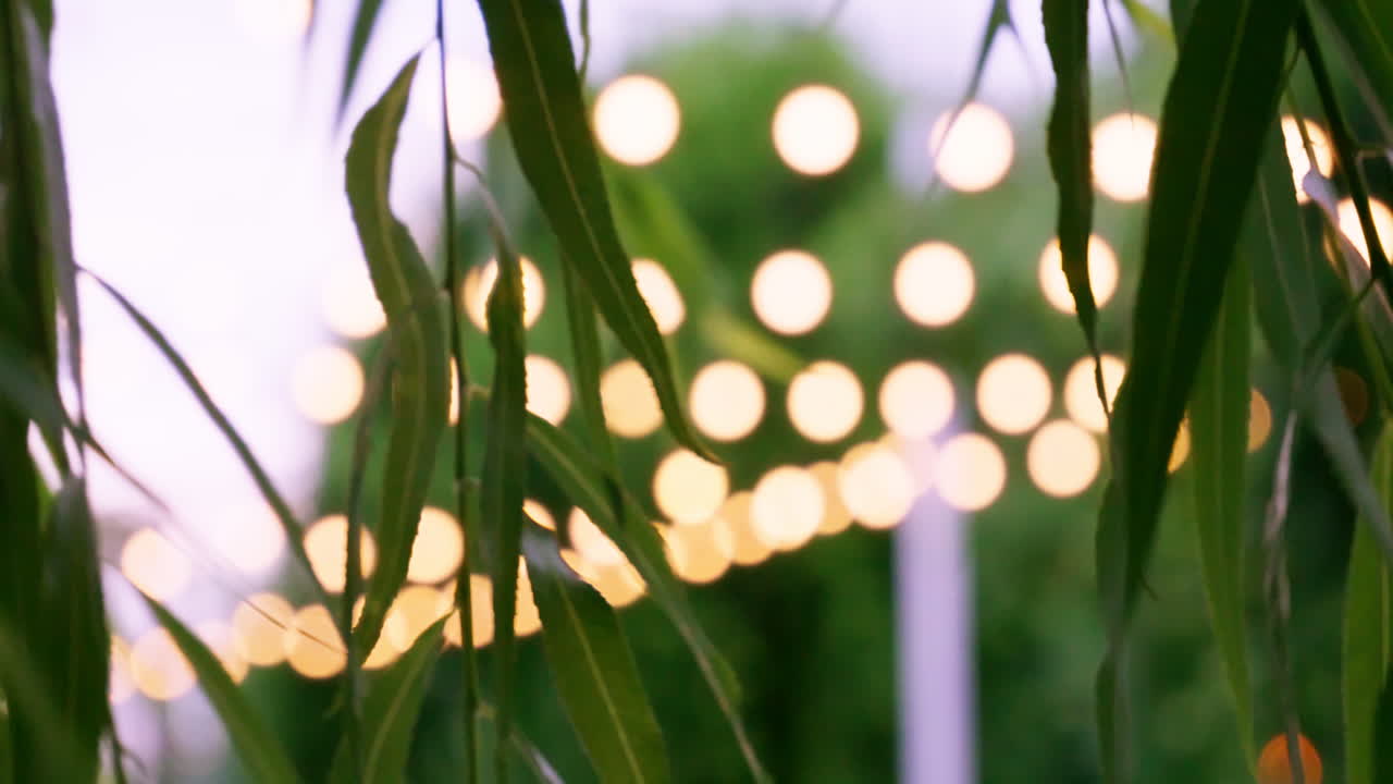 등불을 배경으로 일몰 시간에 녹색 잎이 있는 아름다운 배경