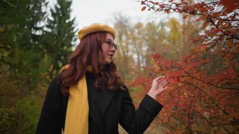 tourist in yellow beret and muffler walks through autumn path, gently touching vibrant red leaves, enjoying crisp air and seasonal beauty in tranquil nature setting