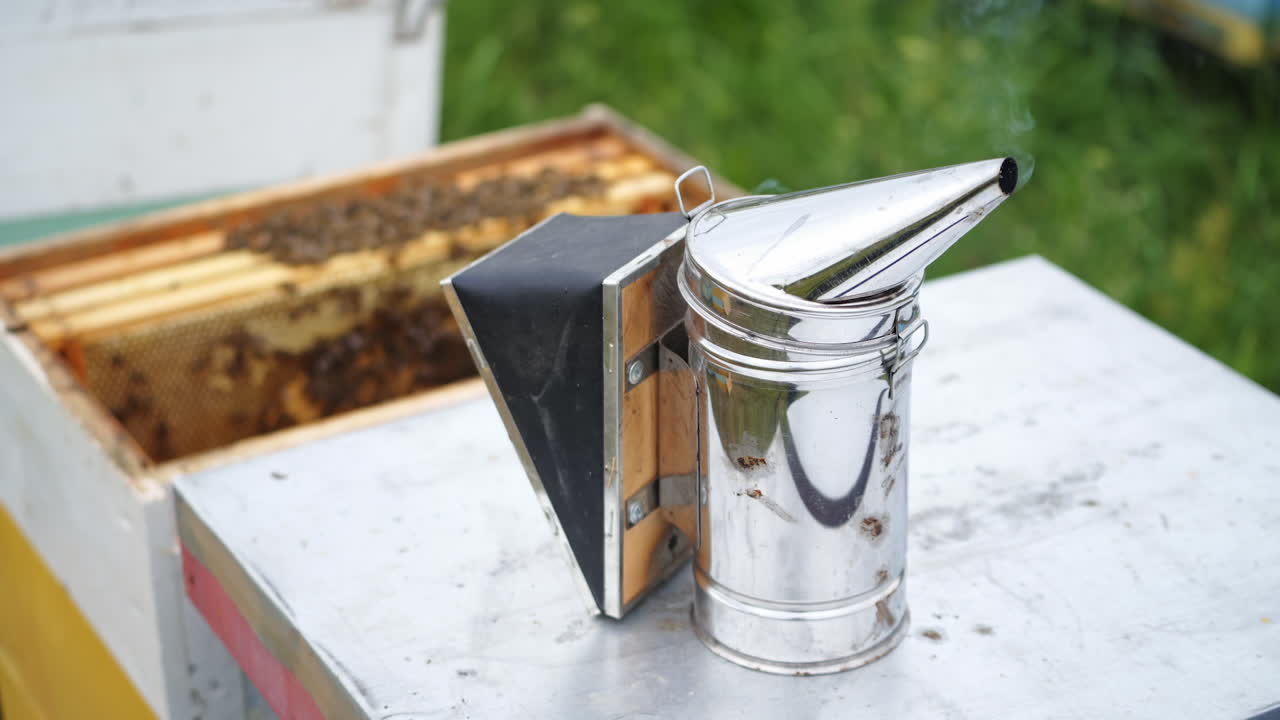 Selective focus on steel new beesmoker on the top of a hive. Hardworking bees fly over hives.