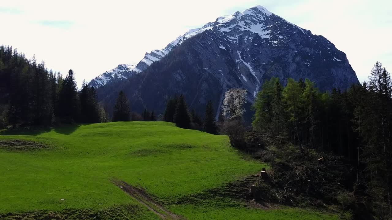 Vårflyvning over fjelleng og alpinsk skog mot Grimming-toppen.