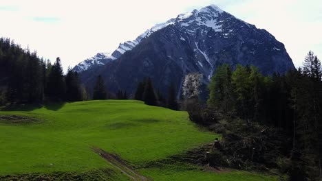 Spring-flyover-mountain-meadow-and-Alpine-forest-toward-Grimming-Peak