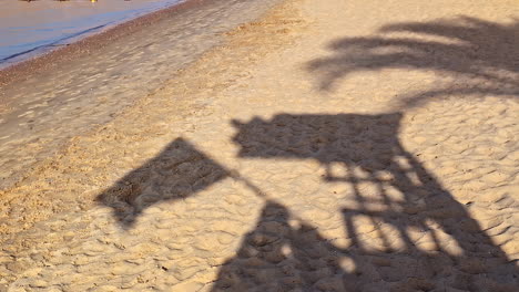Shadow of lifeguard tower and flag on sandy beach with palm fronds above