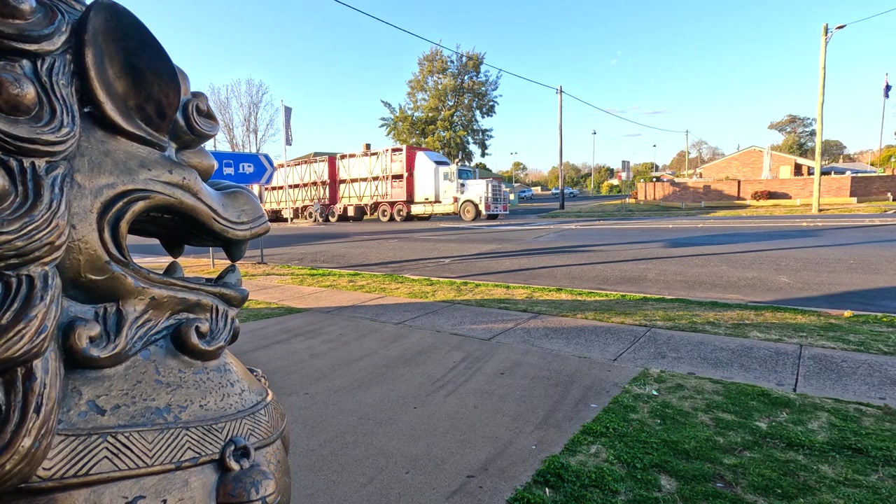 A bronze lion sculpture stands in the foreground as a truck passes through Stanthorpe