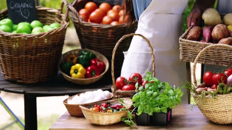 Mid-section-of-couple-holding-fresh-vegetables-in-basket