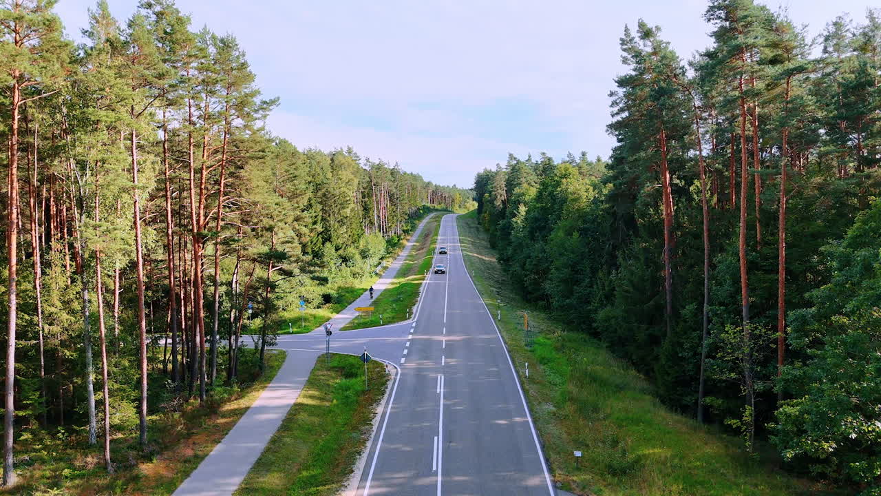 Hustým lesem vede přímá dálnice. Vysoké stromy lemují obě strany silnice. Scéna zobrazuje jasně modrou oblohu nad hlavou.