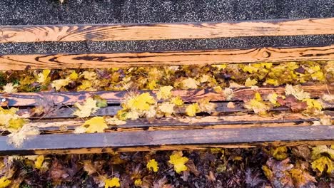 Hojas-De-Otoño-Y-Un-Banco-De-Madera-Bajo-La-Lluvia