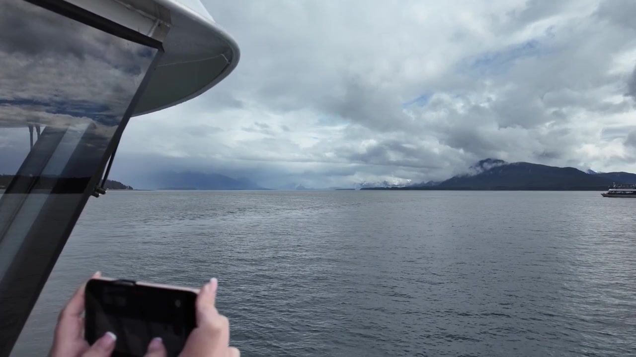 Avvistamento balene in Alaska vicino a Ketchikan, diverse imbarcazioni convergono su un avvistamento.