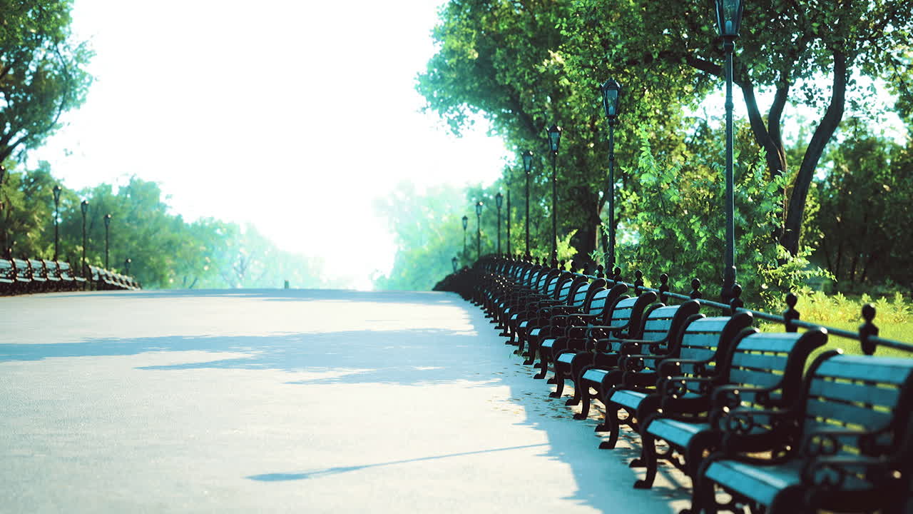 Scenic Park Pathway with Benches and Trees