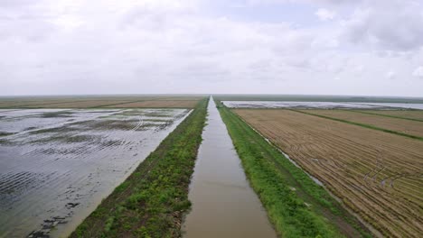 aerial: big open flooded rice fields with tractor tire tracks, river flowing through, drone flyover backwards in nickerie suriname