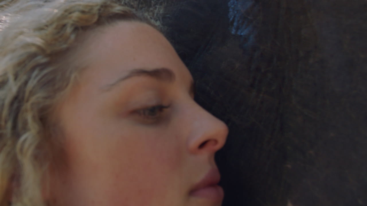 mujer tocando a un elefante acariciando a un compañero animal disfrutando de la amistad sintiendo conexión con la naturaleza en el zoológico 4k