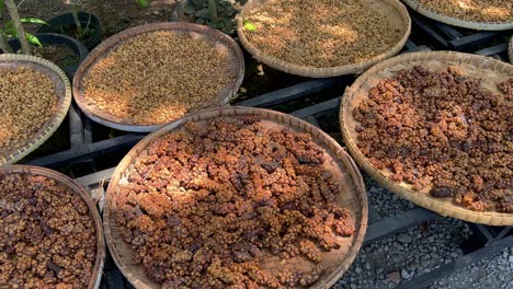 luwak coffee beans in baskets on sunny day, motion view