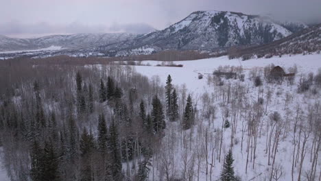 winter red barn aspen snowmass pitkin county wilderness aerial drone rocky mountains colorado basalt carbondale sopris maroon bells ashcroft independence pass cloudy foggy snowy morning forward motion