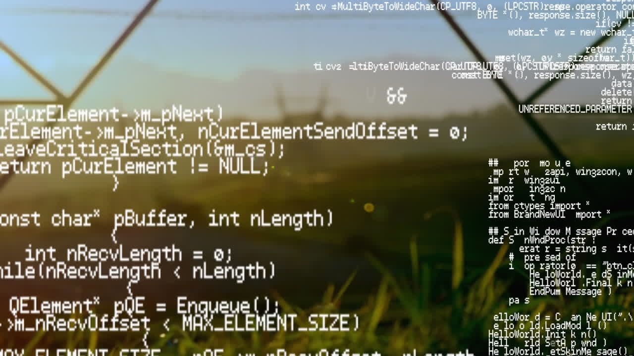 коды программы и поле