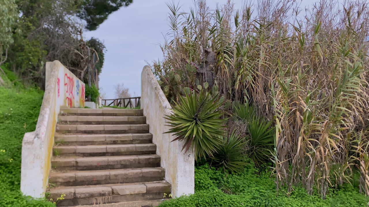 Scale in cemento con ringhiere e graffiti su un fianco di collina verde. Piante di yucca e canne alte crescono lungo il sentiero