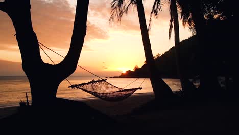 breathtaking view of a vacant hammock swinging between the trees on the beach of an island. silhouette.