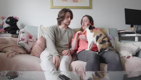 movimiento lento, relación de pareja, mascota familiar, comodidades del hogar, relajación