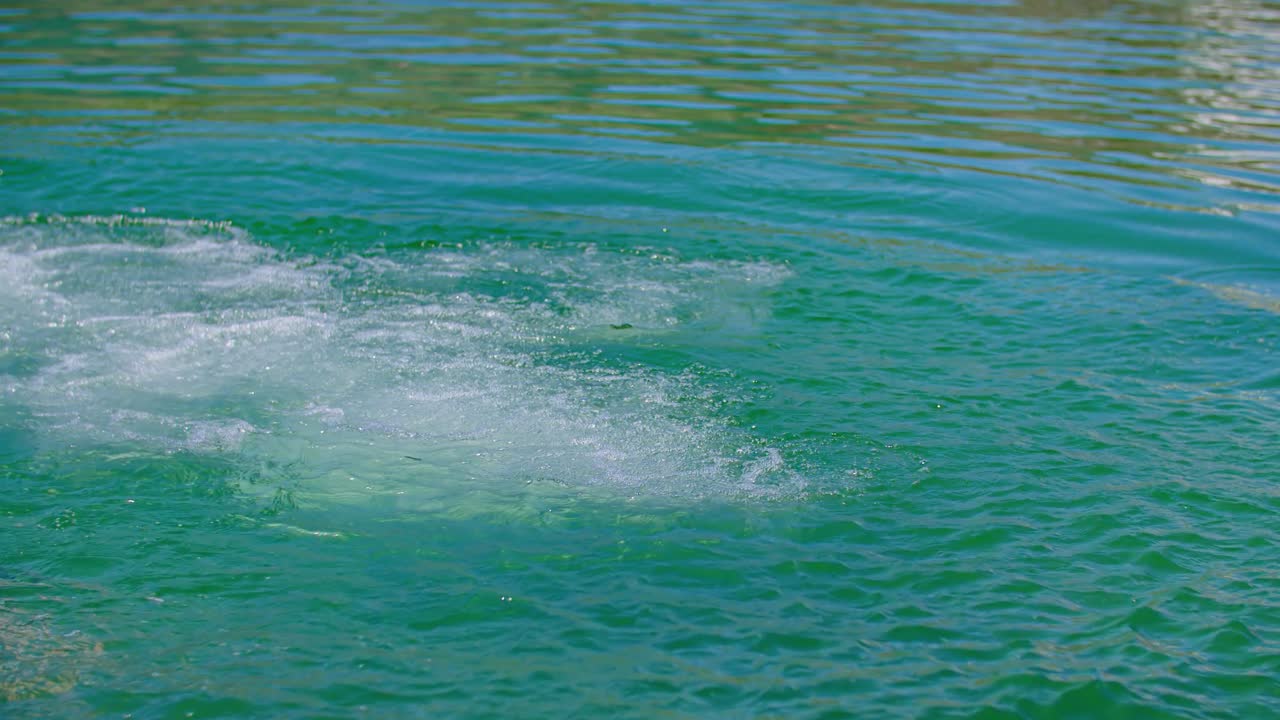 자연 호수 radlje ob dravi에서 액션 카메라 촬영으로 아드레날린 펌핑 다이빙