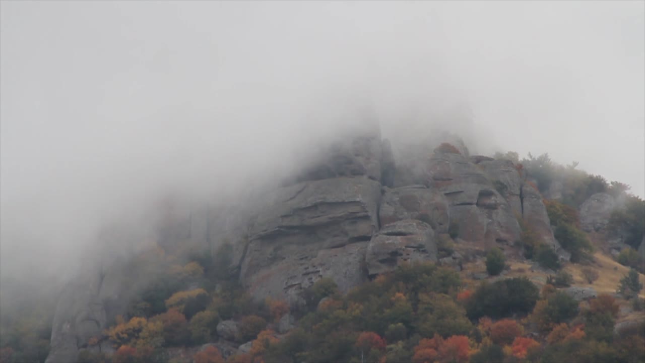 가을 잎자루가 있는 안개가 가득한 산꼭대기