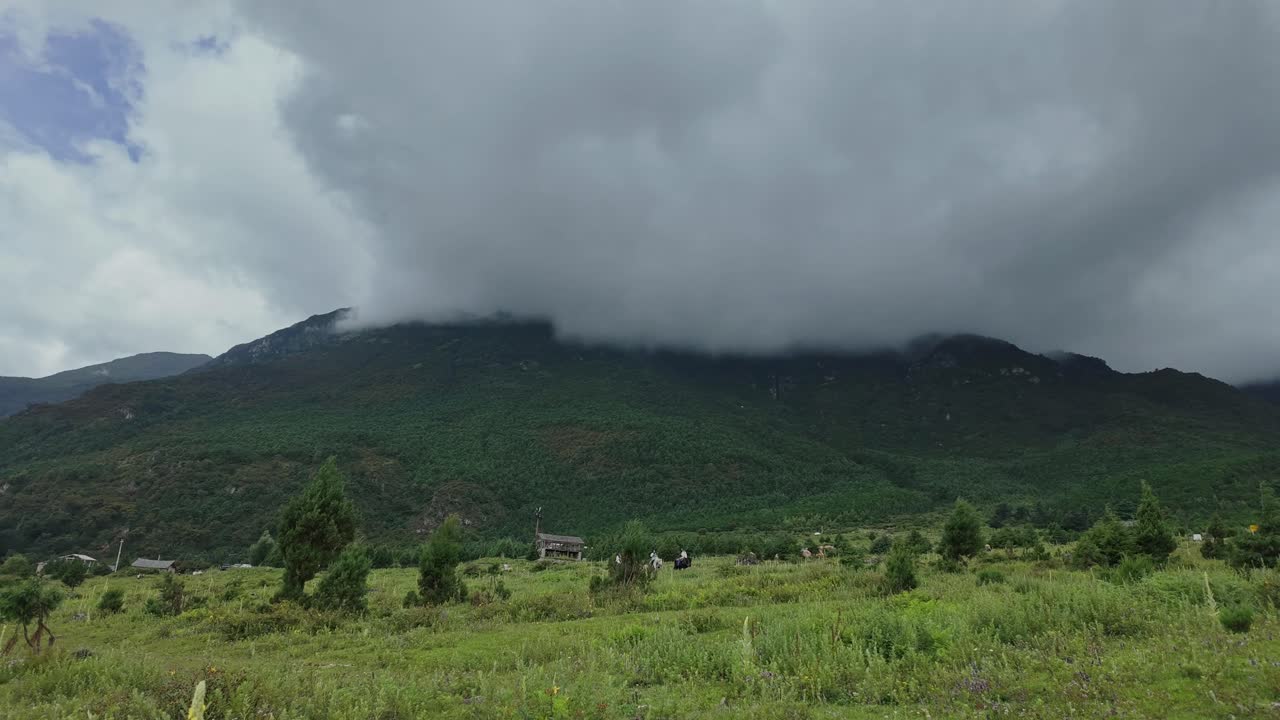 Un'ampia inquadratura cinematografica di fitte nuvole basse e nebbia che si muovono sui lussureggianti pendii verdi della Montagna del Drago di Giada nel villaggio di Yuhu, Yunnan, Cina.