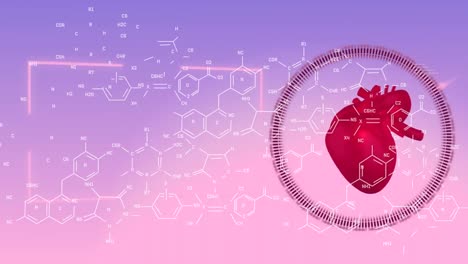 Animation-of-chemical-formulas-over-human-heart-mode-and-violet-and-pink-background