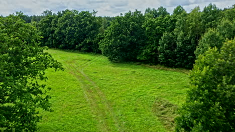 beautiful drone flyover of green meadow with old trees in estonia - dolly shot