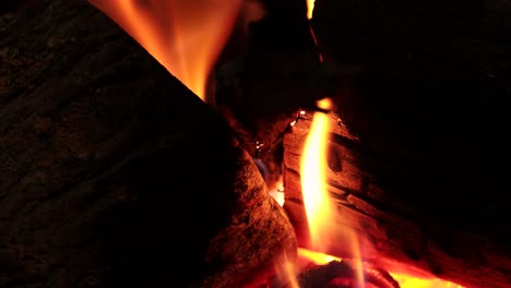 bonfire, very close up video