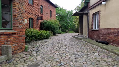 fly-inside-empty-backyard-stone-pavement-green-fence-old-building