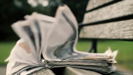a series of blurred frames capturing the dynamic movement of newspapers on a park bench in the gentle breeze, illustrating the emotive essence of everyday life