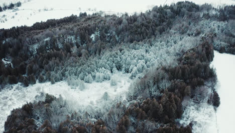 flying over beautiful snow covered winter forest landscape