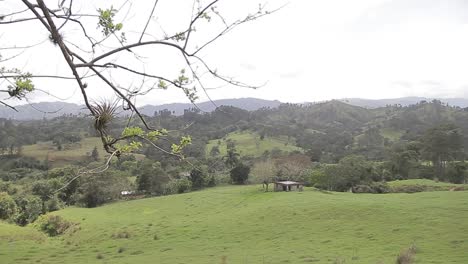vista panorámica de la amplia y hermosa zona rural verde, típica campiña de jarabacoa