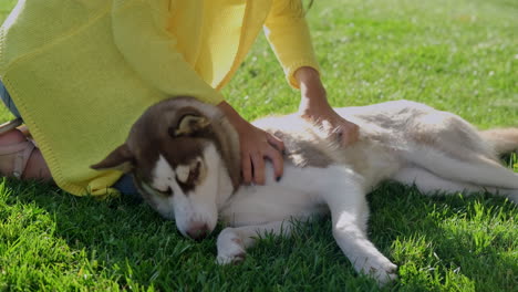 mujer acariciando a un perro husky en un parque