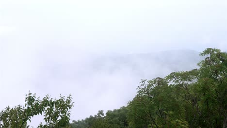 Static-shot-of-misty-hillside-showcases-nature's-subtle-dance