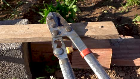 herramientas de trabajo dejadas cerca de la planta