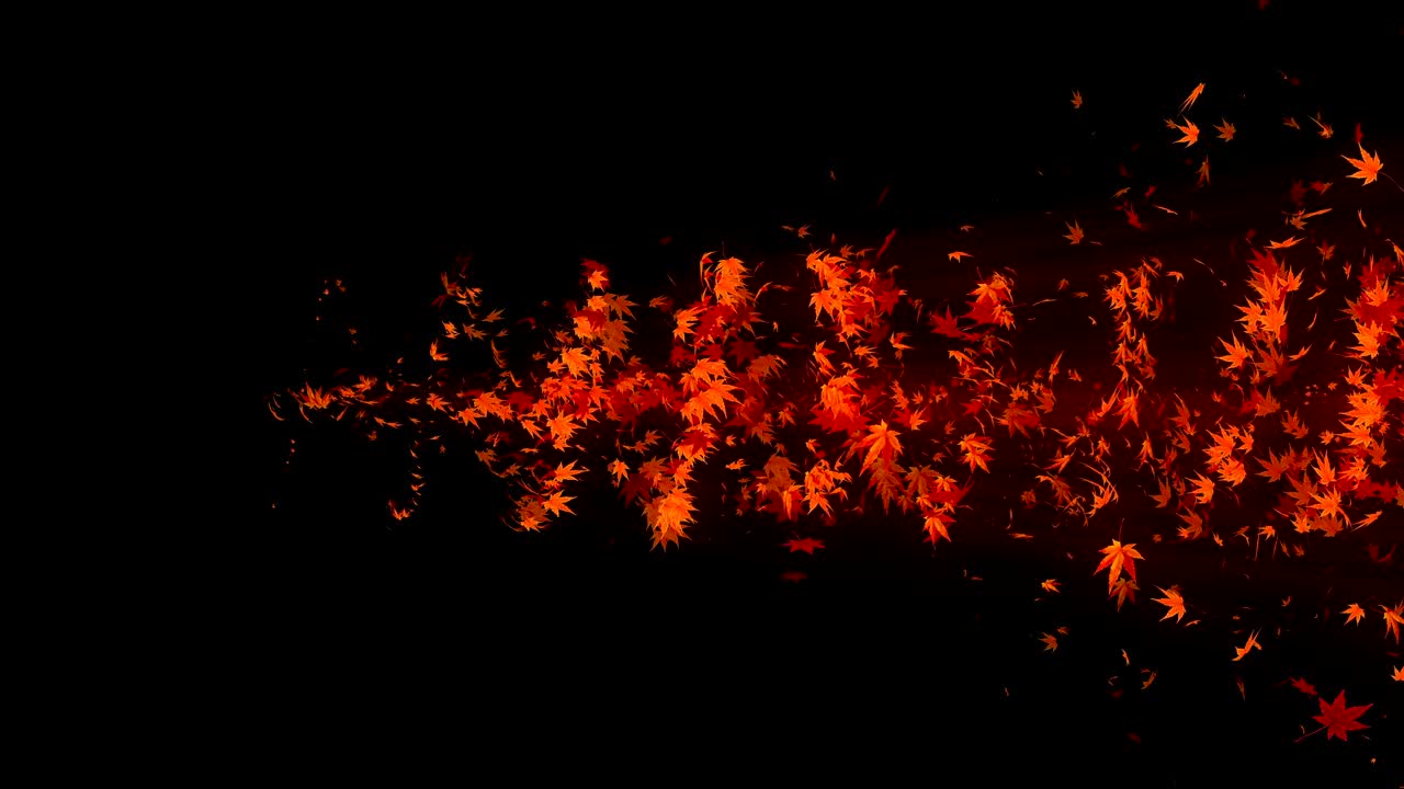 다채로운 메이플과 잎에서 나온 소용돌이, 가을 잎의 나선형 반이는 입자, 춤추는 잎, 다채로운 자연 터널 루프 애니메이션.