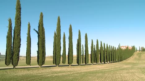 una toma amplia de una villa de campo con largas filas de árboles en toscana, italia 3