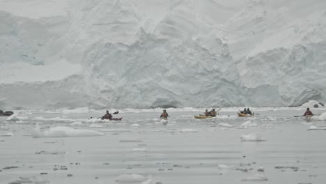 kayaking in antarctica waters, bay with ice berg and floats and big glacier