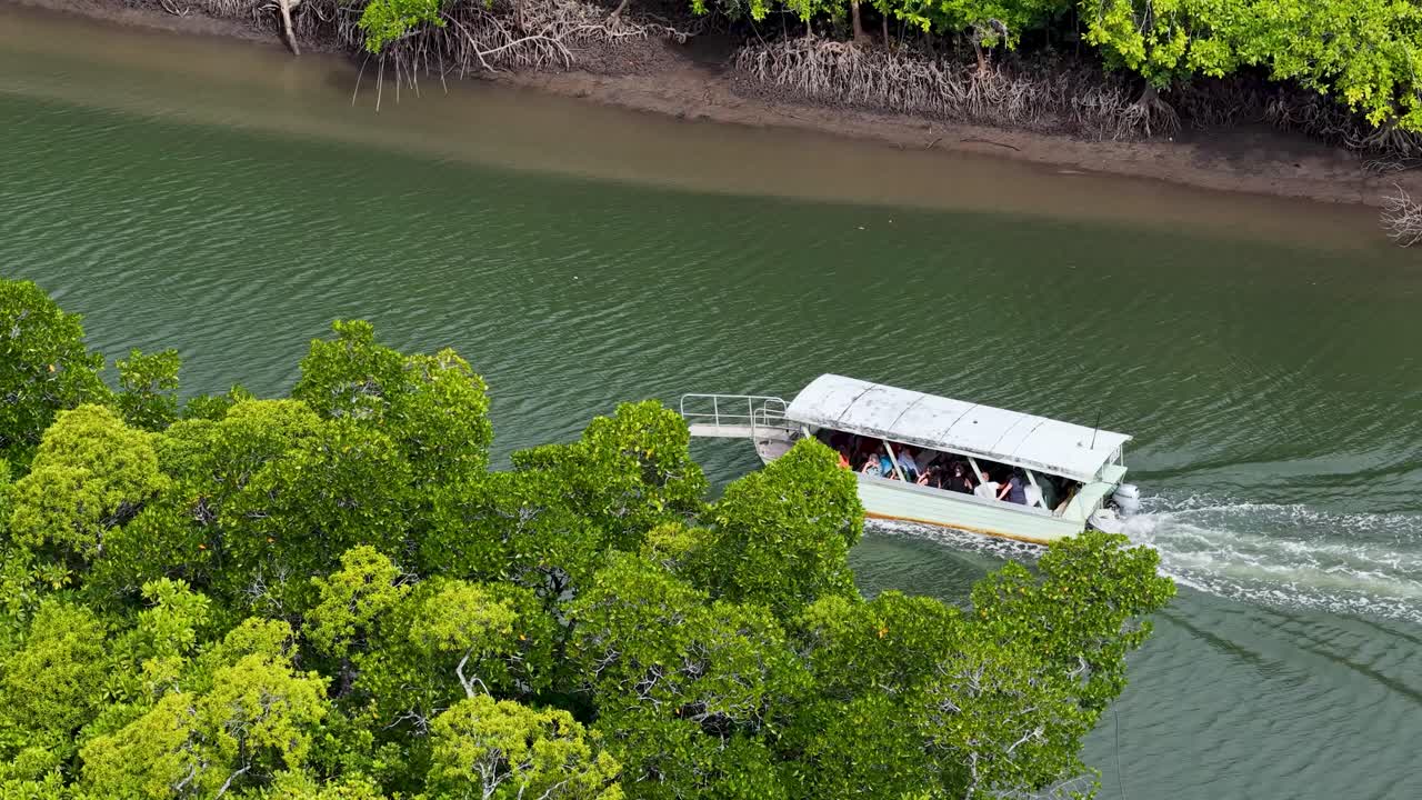 Aerial view of a boat navigating a river surrounded by vibrant green mangroves in Port Douglas